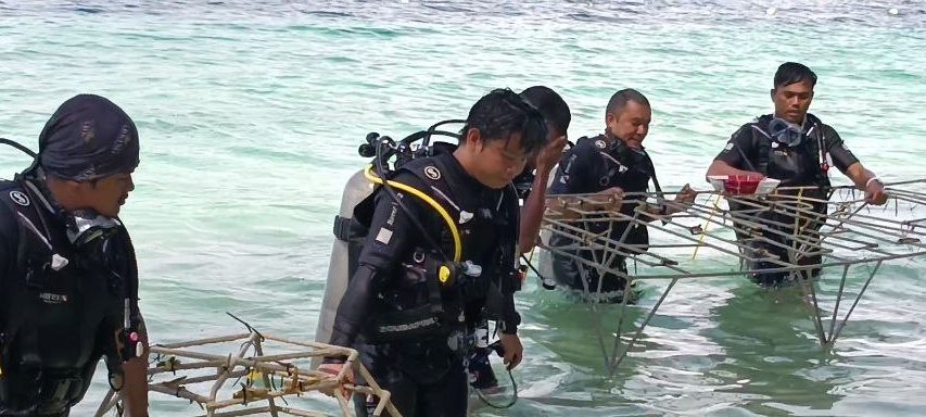 Sabah Parks divers emerging from the sea with coral frames